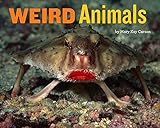 Weird Animals