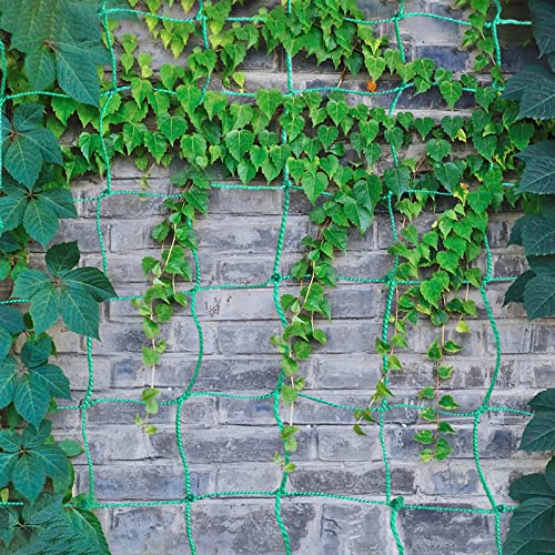 Garden Trellis For Climbing Plants - Heavy Duty Vegetable Cucumber Trellis Netting For Climbing Plants Green Peas Trellis For Tomato, Vine Plants Trellis Net Outdoor Grow Net (9 X 6.6 Ft) #TOP7