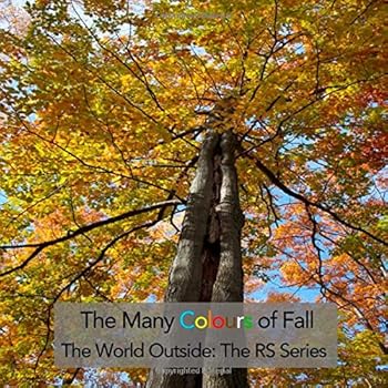 Paperback The Many Colours of Fall: The World Outside: The RS Series Book