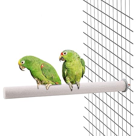 Amazon Dooti オウム パーチ 鳥スタンドロッド 鳥止まり木 爪研ぎ オウムおもちゃ 鳥スタンド 鳥栖 小鳥立ち場 ペット用品 2 5 30cm Skiesoar 止まり木 通販