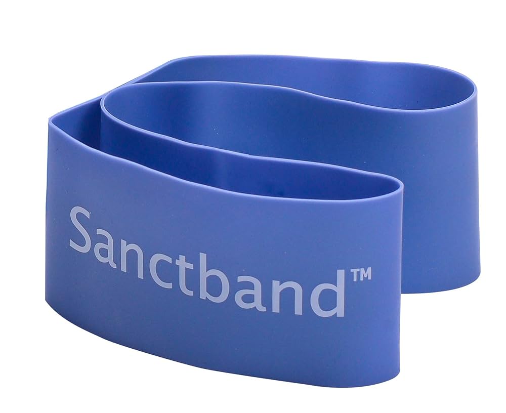 Amazon.co.jp: Sanctband ループバンドパック (ブルーベリー