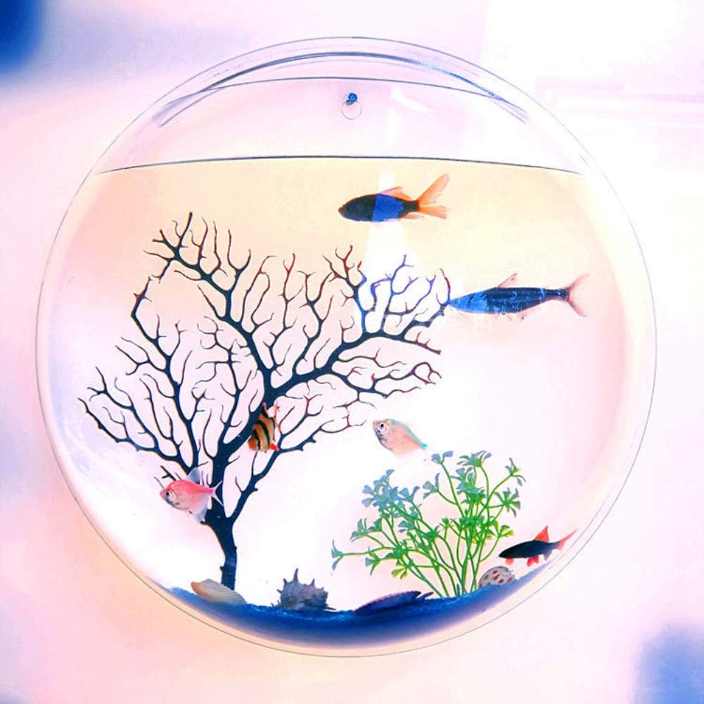 Semi Closed Aquatic Ecosystem,Hanging Wall Mounted Fish Bowl Home Decoration Pot Wall Hanging Mount Plant Fish Bubble Aquarium Bowl Fish Tank Aquarium