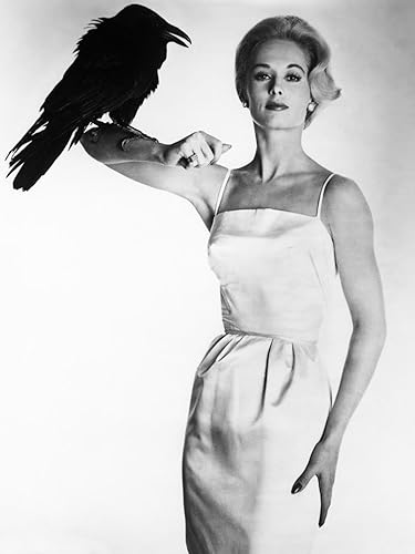 ART.COM Wall Photo The Birds, Tippi Hedren, 1963, 12" x