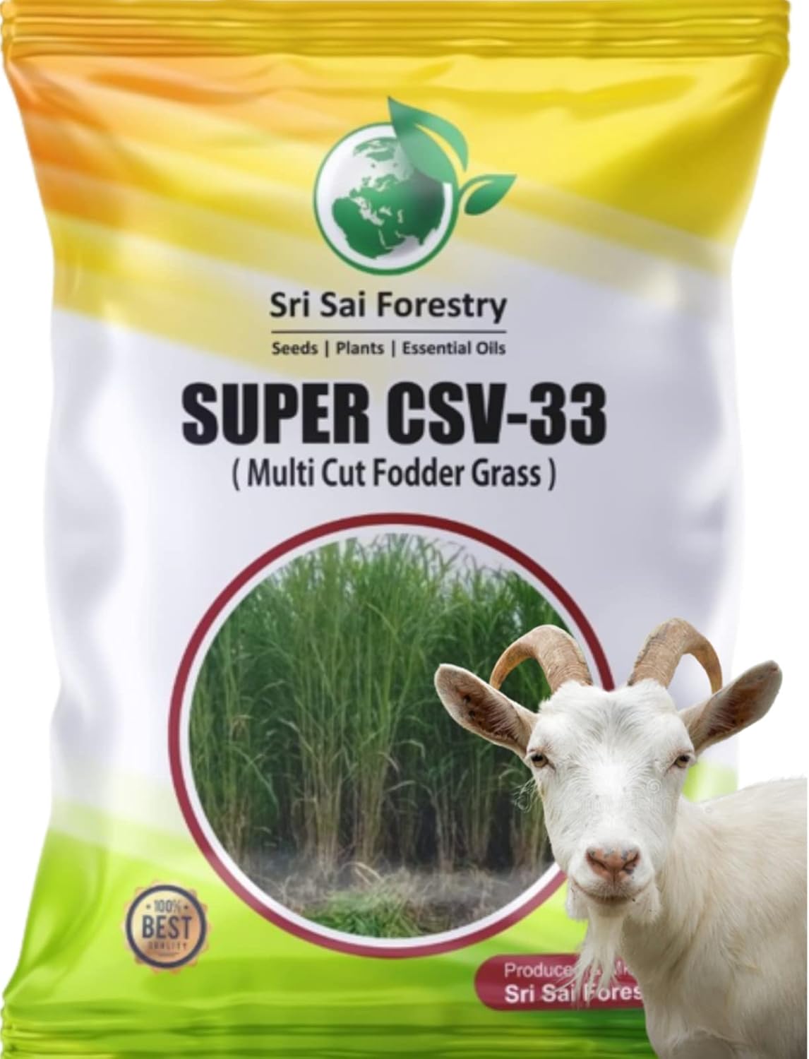 Super CSV33 MF Grass Seeds 100 G, High Yield Multi Cut Grass Seed