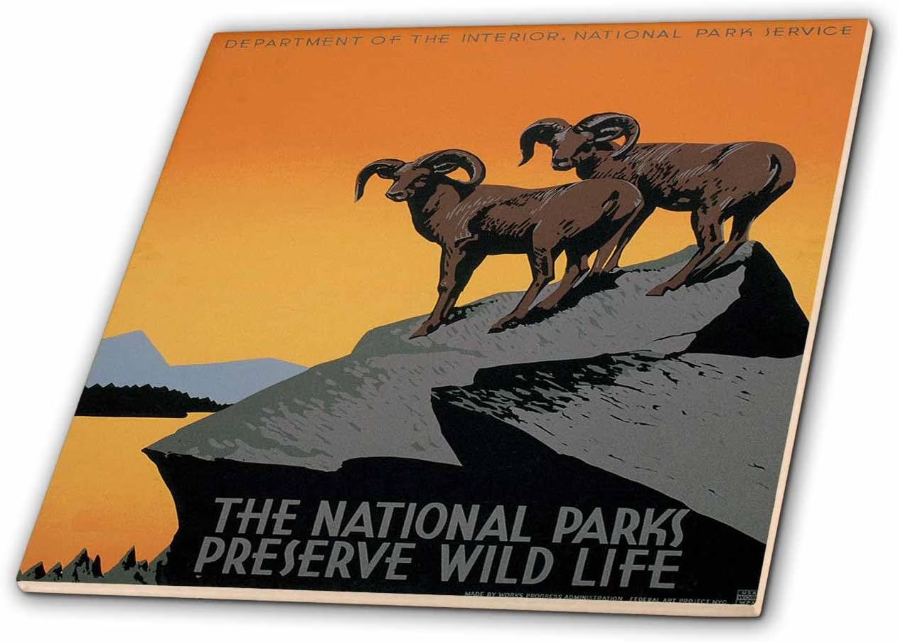 3dRose ct_171294_4 The National Parks Preserve Wild Life with Two Longhorn Sheep Ceramic Tile, 12"