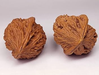 大耳朵图图核桃 文玩 クルミ 遊ぶ胡桃、文玩核桃、クルミX型323536/30.7g その他素材 鏡淞堂