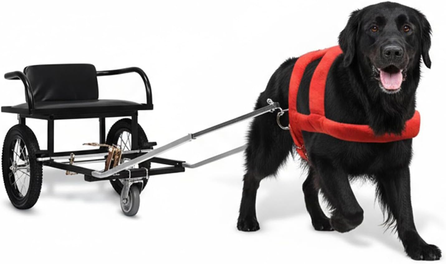 40-60KG Dual Brake Design Dogs Pulling Cart with Seat, Detachable Dogs Pull Cart with Traction Strap Armrests for Owners to Take Pets Shopping, Dog Sled Wagon for Large and Small Dog