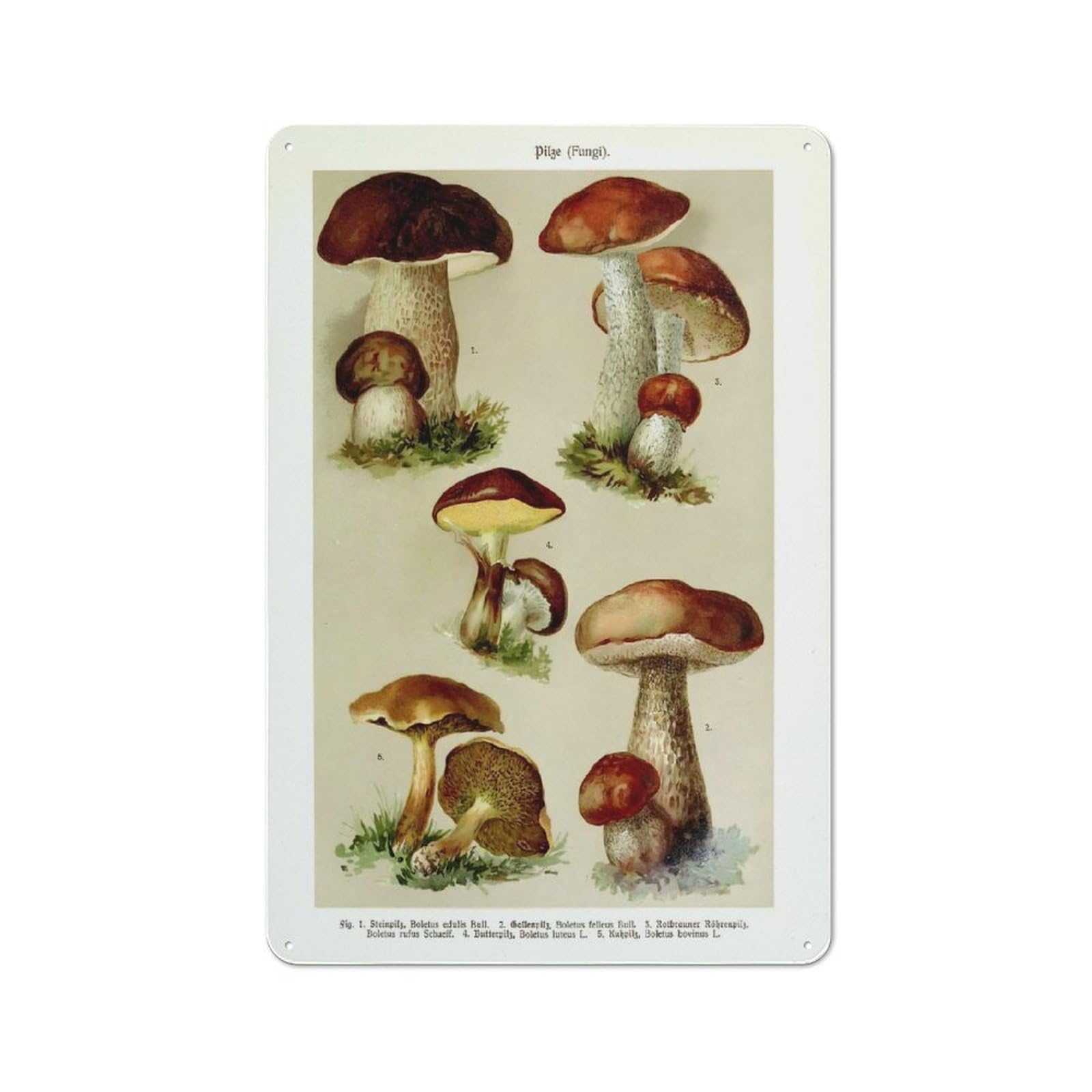 Junmoney Style-14 Vintage Metal Plaque 30X20cm Featuring Classic Mushroom Fungi, Diner Style Decor For Restaurant, Kitchen, Counter Or Breakfast Nook