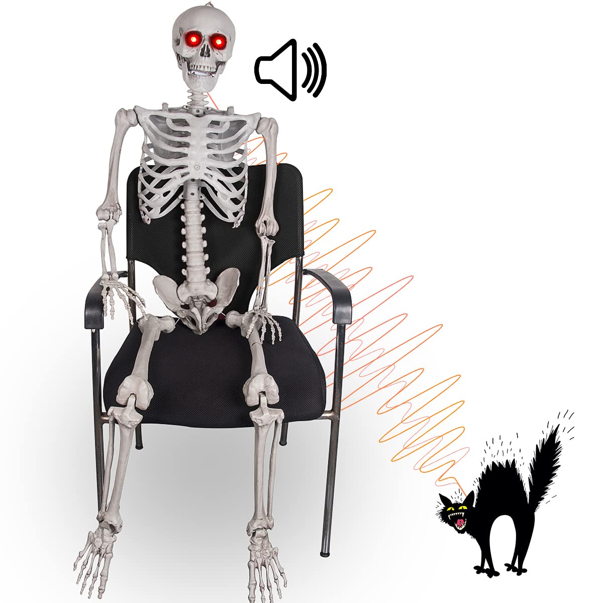 Buy Halloween Posable Skeleton 5.5FT Life Size Skeleton Decoration
