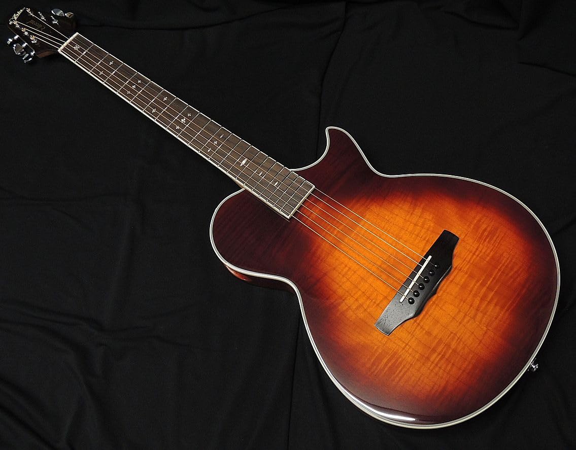 Amazon | ARIA APE-100 TS 薄胴 エレアコ エレクトリック