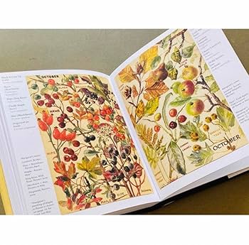 【てん】 洋書　植物図鑑 洋書 古書 希少 ヴィンテージ植物図鑑2巻セット 繊細で美しい