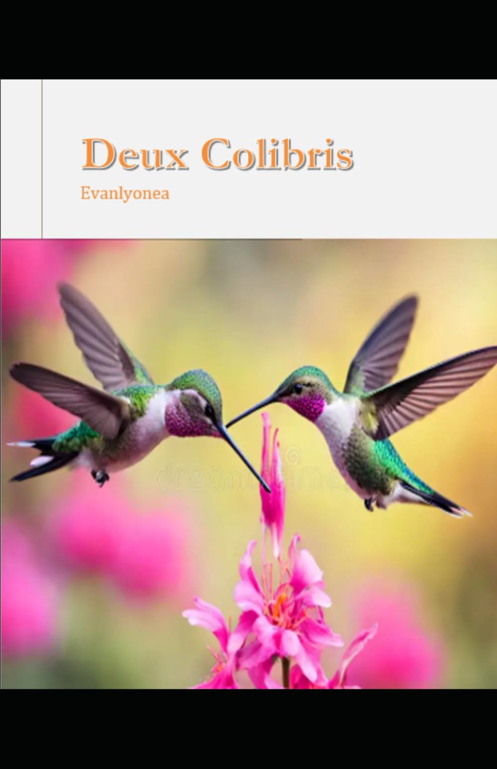 Deux Colibris: Recueil de Poésie