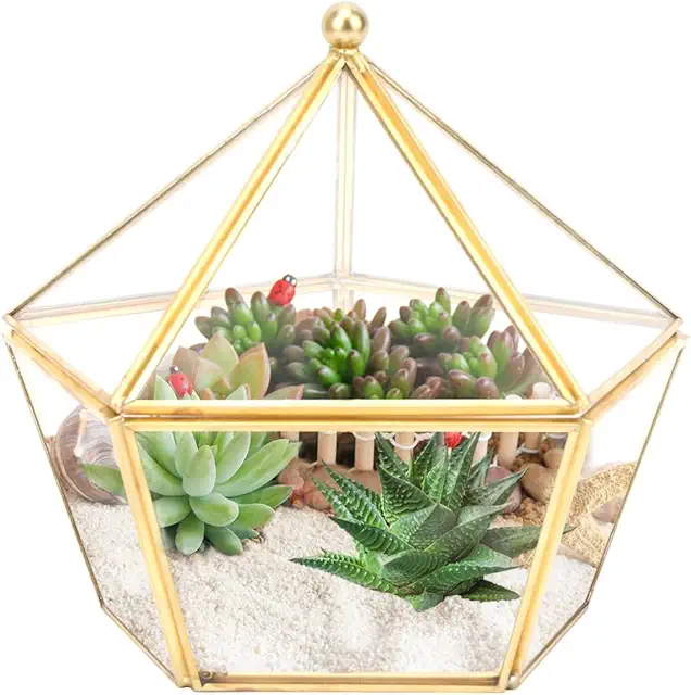 Glass Geometric Terrarium - 6.3 Inch Air Plant Holder for Indoor Decor
