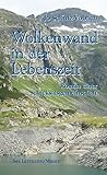  Wolkenwand in der Lebenszeit: Roman einer Schicksalsgemeinschaft