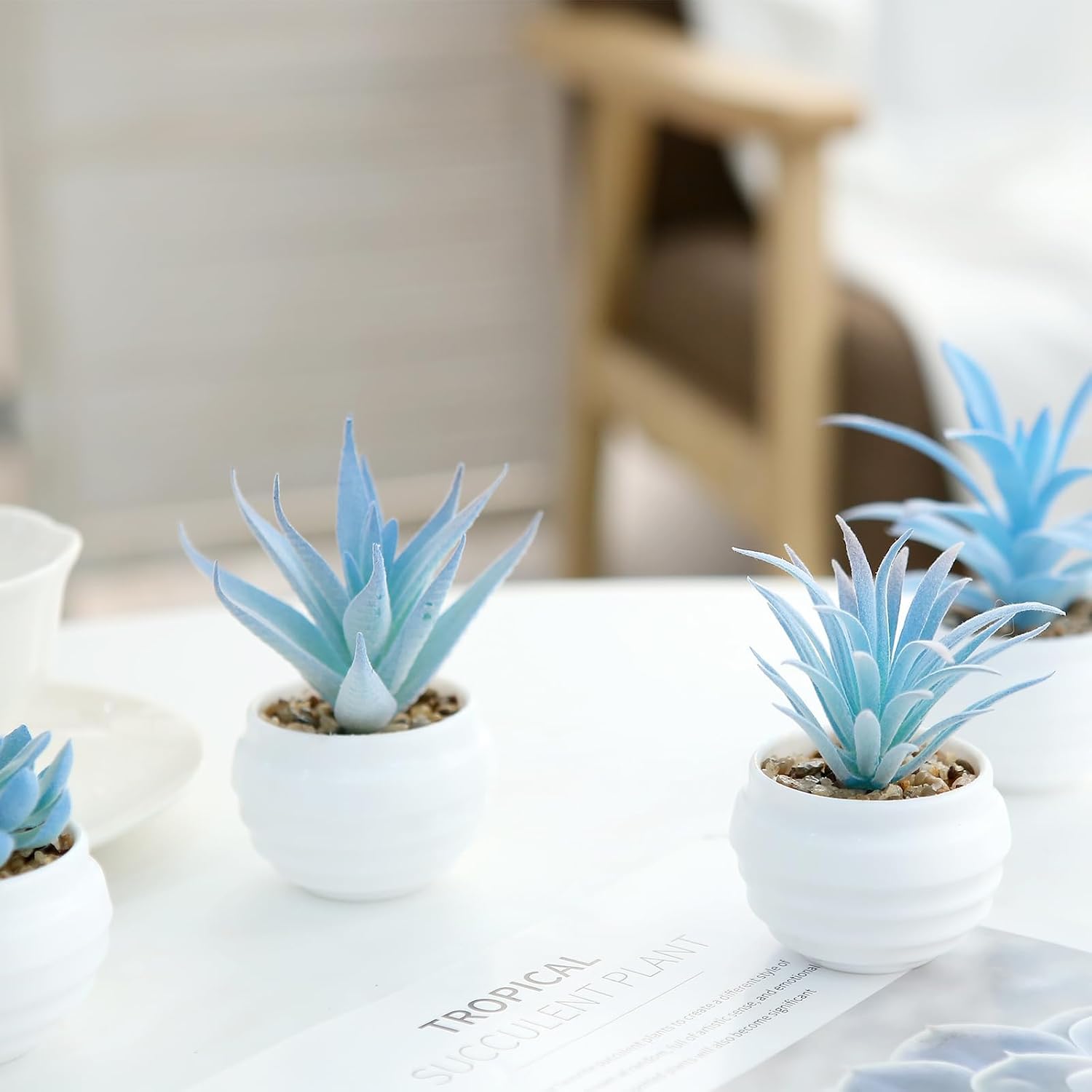 GREENTIME 6 Pcs Blue Mini Artificial Succulents in Plastic Pots Small Fake Plant Succulent Plant Graduation & Father Party Decorations Classmate Gift Faux Indoor Decor Bedroom Desk Bathroom Shelf