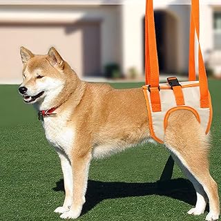 Amazon Co Jp 老犬 後ろ足 ハーネス