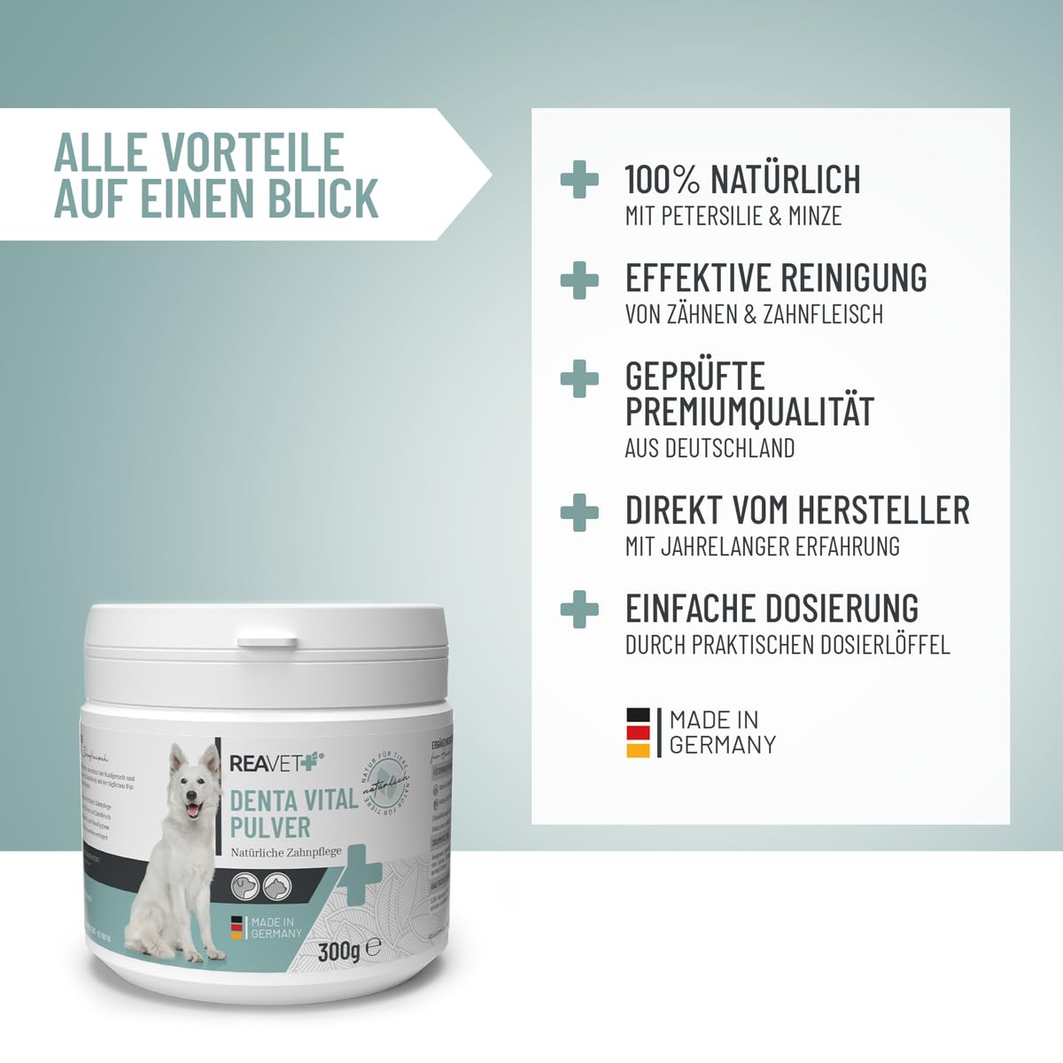 ReaVET Denta Vital Zahnpflege Pulver Hund & Katzen 300g - Zahnsteinentferner, Mittel gegen Zahnstein Hund Katze I Gegen Mundgeruch bei Hunden, Zahnpflege Katzen
