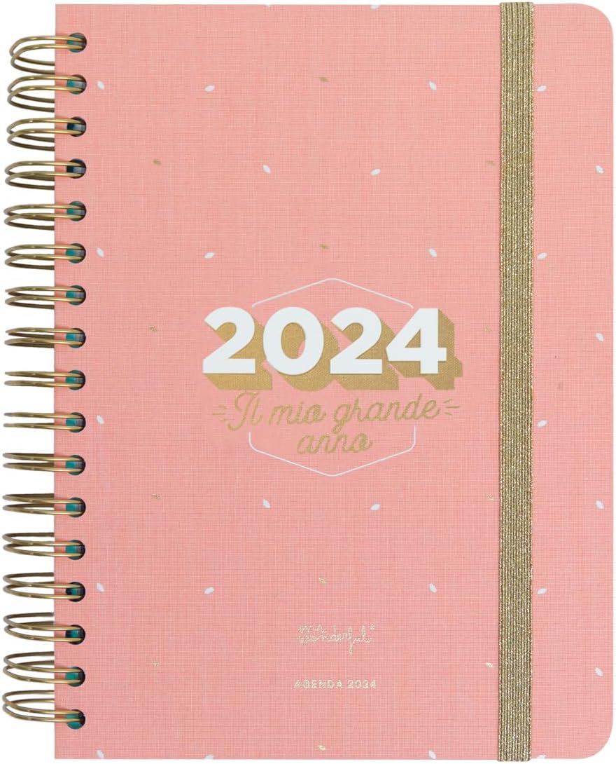 Mr.Wonderful Office 2024 Daily Diary - My Big Year 22.1 x 2.1 x 15.6 cm