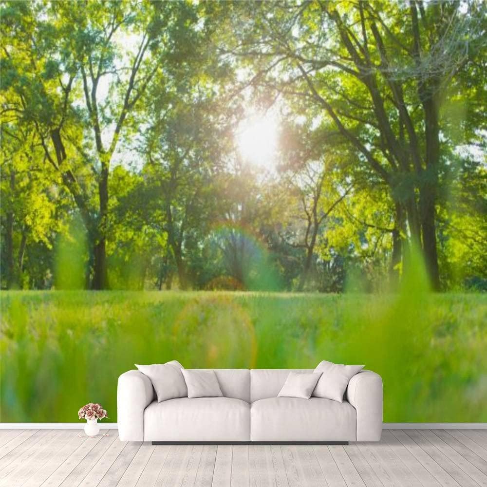 Papier Peint Photo Mural 3D Arbres pour Salon et Chambre