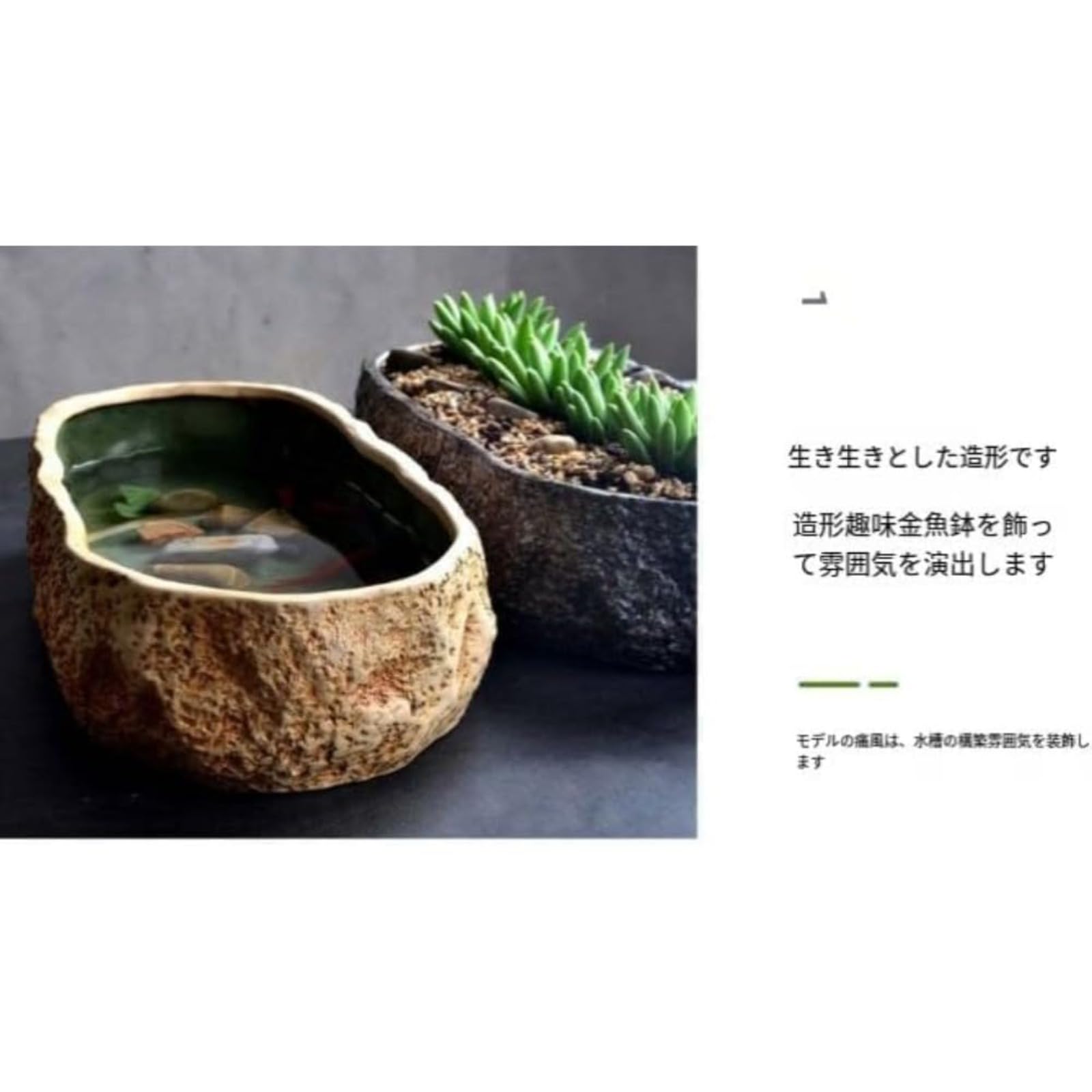 Amazon.co.jp: 陶器 金魚鉢 メダカ鉢 睡蓮鉢 水耕栽培 植木鉢 亀 水槽