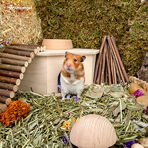Niteangel Birch Chamber-Maze Hamster Hideout - Small Pets Woodland House Habitats Decor for Hamster Mice Gerbils Mouse by Niteangel - Image 3
