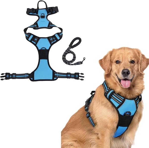 bergxperten Anti-Zieh Hundegeschirr, Größe XL