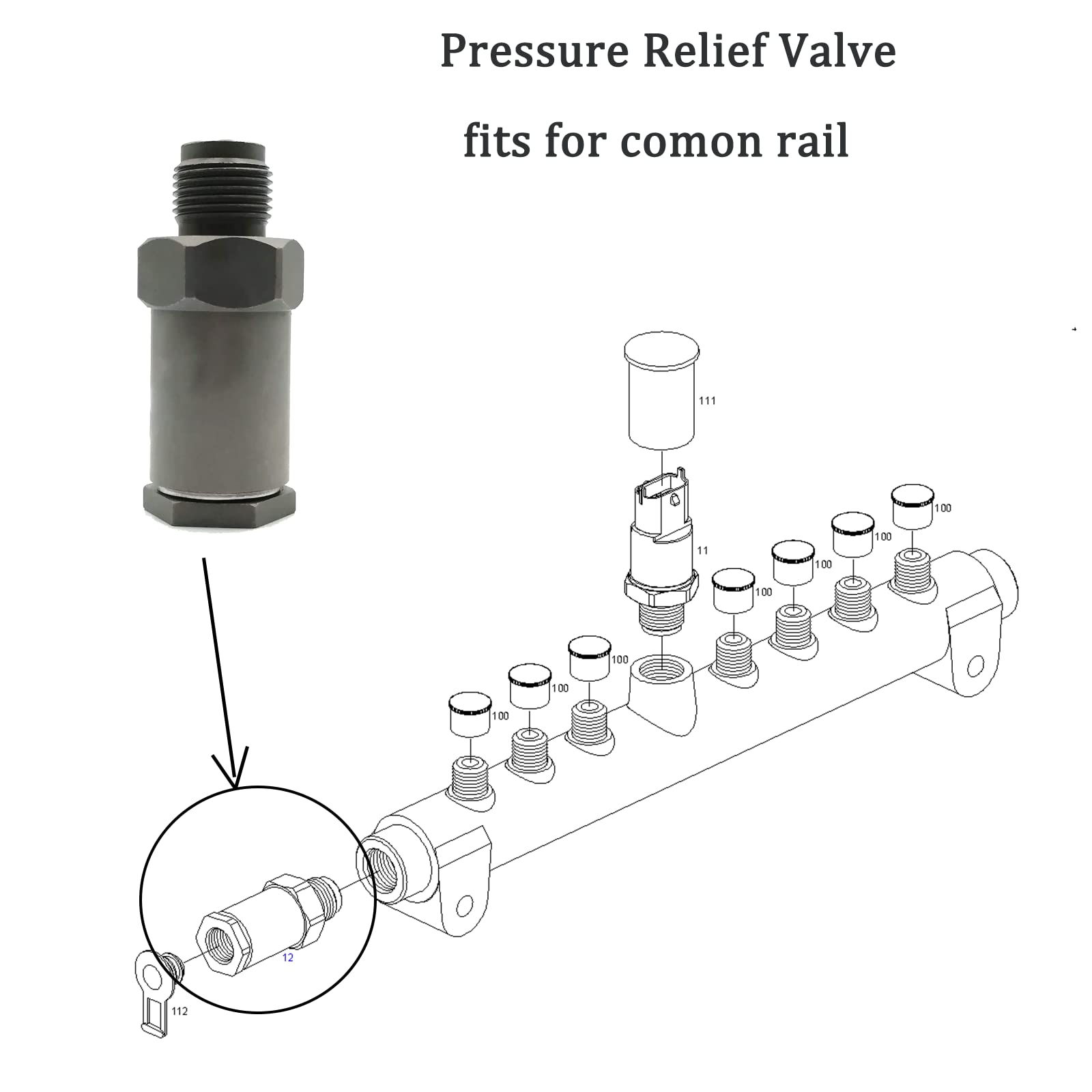 F00R000756 Fuel Rail Pressure Relief Valve Limiting Valve