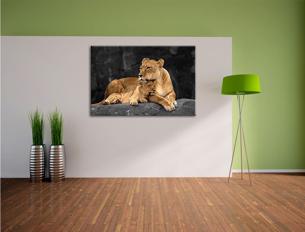 Pixxprint Löwe Löwenjungen, Größe: 120x80cm, Leinwandbild, fertig gespannt, Wandbild, Dekoration, Kunstdruck, kein Poster