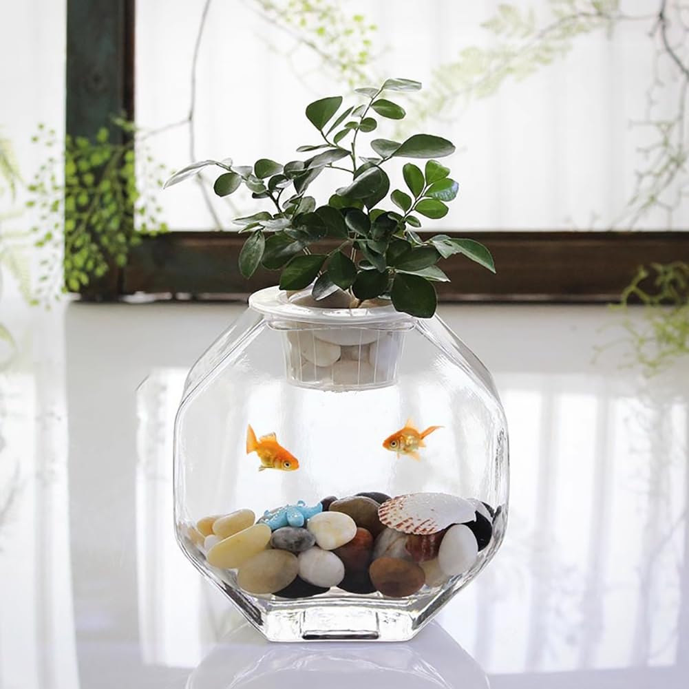 Piccolo Acquario da Tavolo per Uso Domestico, Vasca per Pesci Ottagonale in Vetro Ultra Trasparente, con Base per Lampada in Legno, Contenitore per L'allevamento di Pesci Betta,Small h