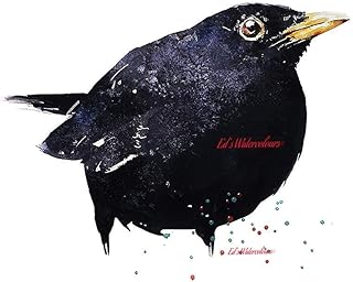 Black Bird - Print Watercolour, Black Bird art, Black Bird print, Black Bird art print, Black Bird Wall décor,Bird Art,Bird Watercolour Print