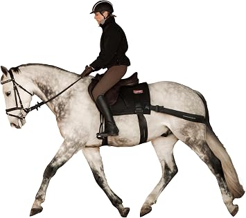 Equicore Concepts Complete Equiband System, Large size, oversize horse