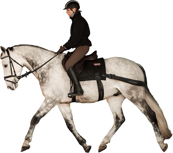 Equicore Concepts Complete Equiband System, Large size, oversize horse