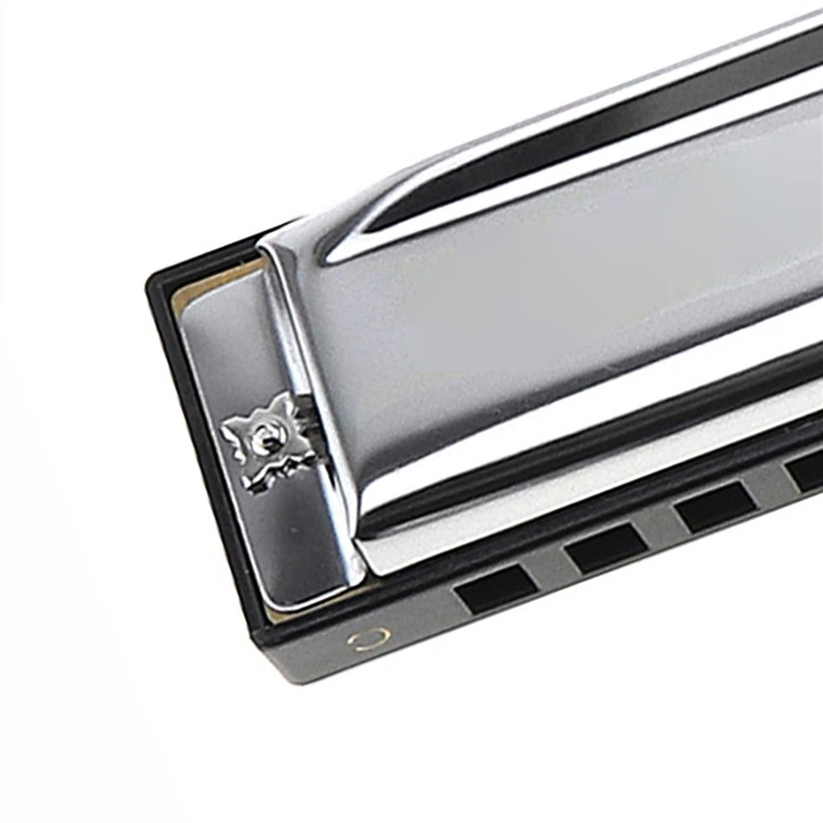 Armonica A Bocca Professionale Armonica A Bocca 10 Fori 20 Tone C Silver Harmonica Diatonic Mouth Organ Strumento Musicale in Acciaio Inossidabile