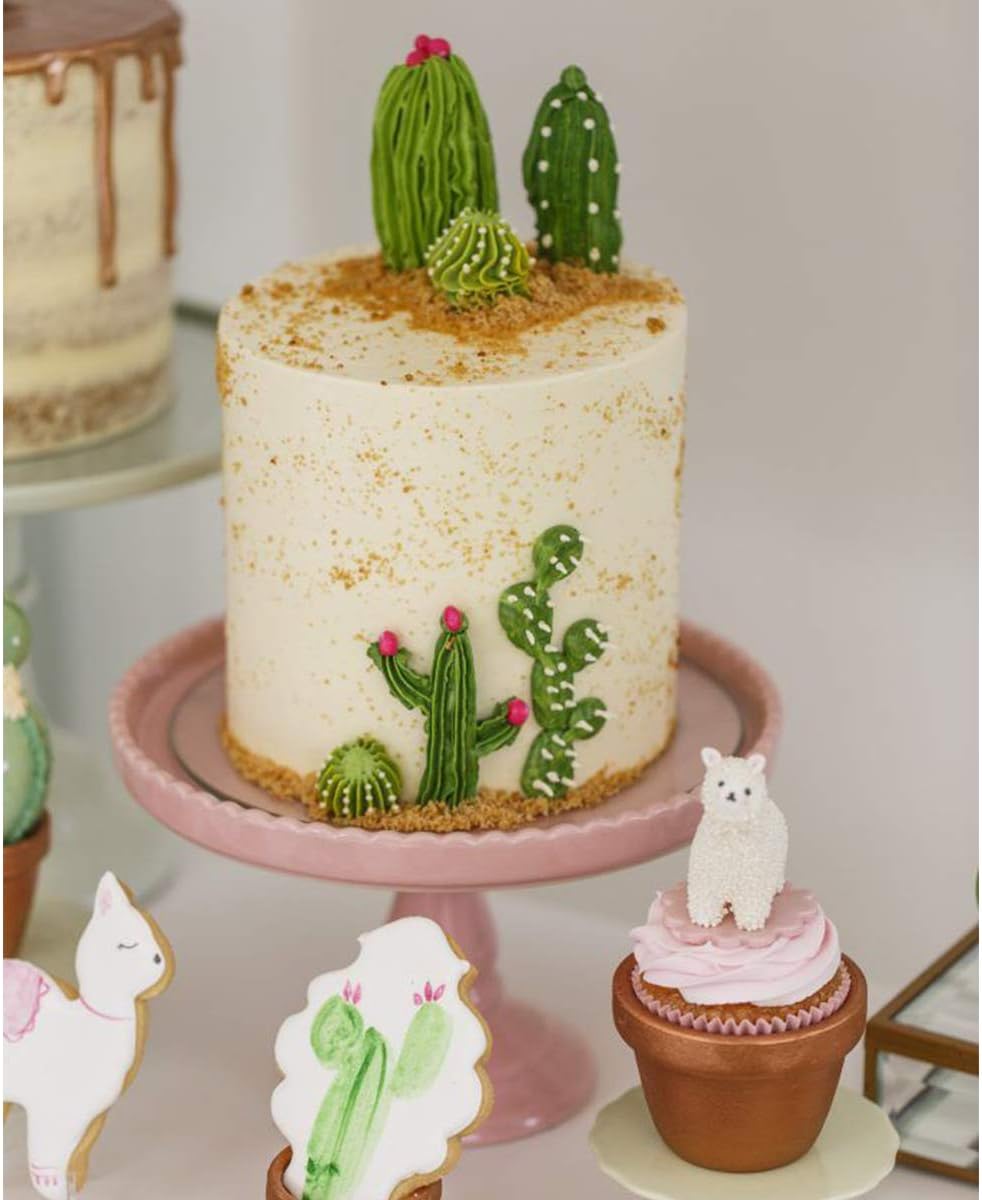 Cactus Succulent Moule En Silicone Fondant Cactus Succulents Gateau Botanique Decoration Pour Chocolat Patisserie Resine Patisserie Patisserie Patisserie Patisserie Cactus Amazon Fr Cuisine Et Maison