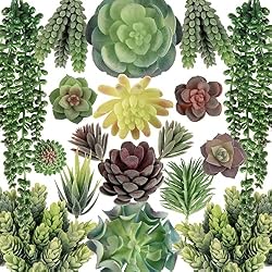 Vegetation Clues