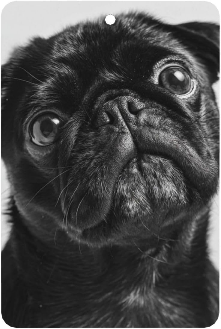 Car Air Freshener 24 PCS Cute Pug Dog Hanging Car Air Fresheners Auto Interior Decor Card Freshener Strong Scented Card Lavender Cars Scents for Office Bedroom Close Drawer Rectangle