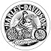 Adesivi Deco Casco Moto Harley Davidson Pin Up