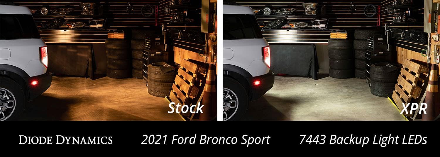 Diode Dynamics Backup LEDs compatible with Ford Bronco Sport 2021-2026 (pair), 7443 XPR