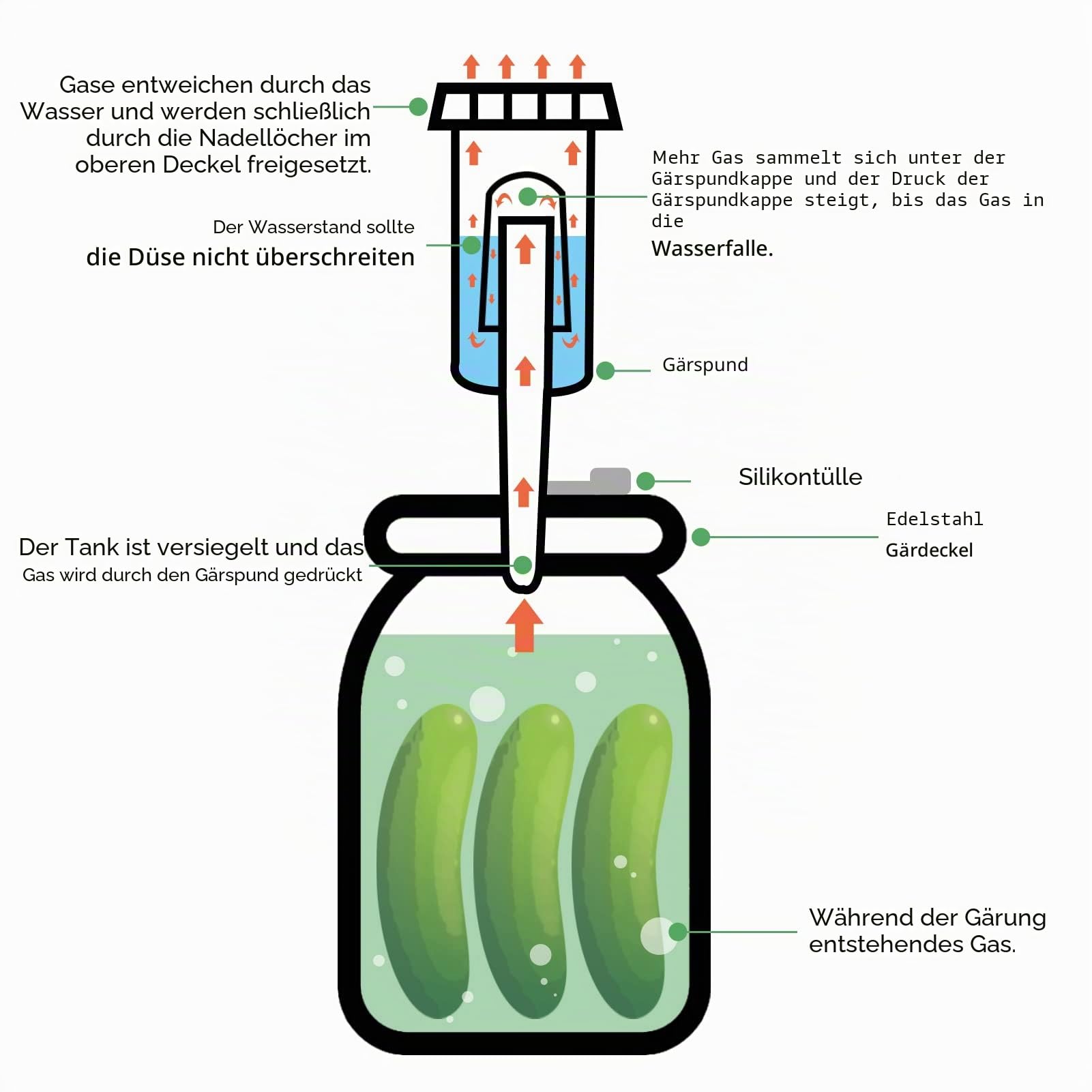 Artcome 28-teiliges Gär-Set, 5 Edelstahl-Gärdeckel, 5 Glasgewichte, 5 Luftschlösser, 6 Silikonösen, 1 Silikonzange für Einmachgläser mit breiter Öffnung (Gläser nicht im Lieferumfang enthalten)