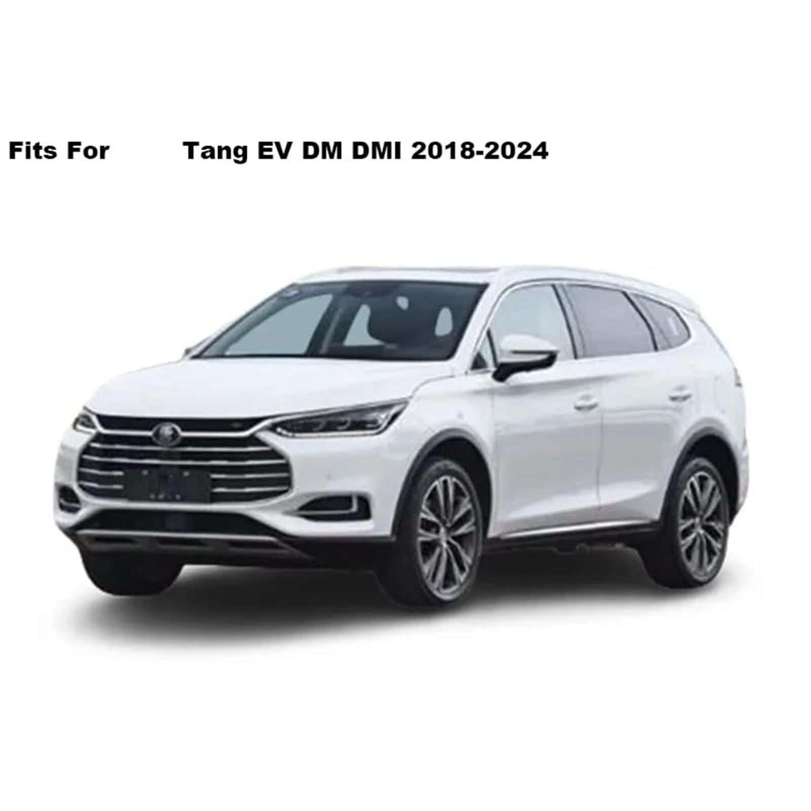 Türvisiere, Passend für BYD, Tang EV DM DMI 2018 2019 2020 2021