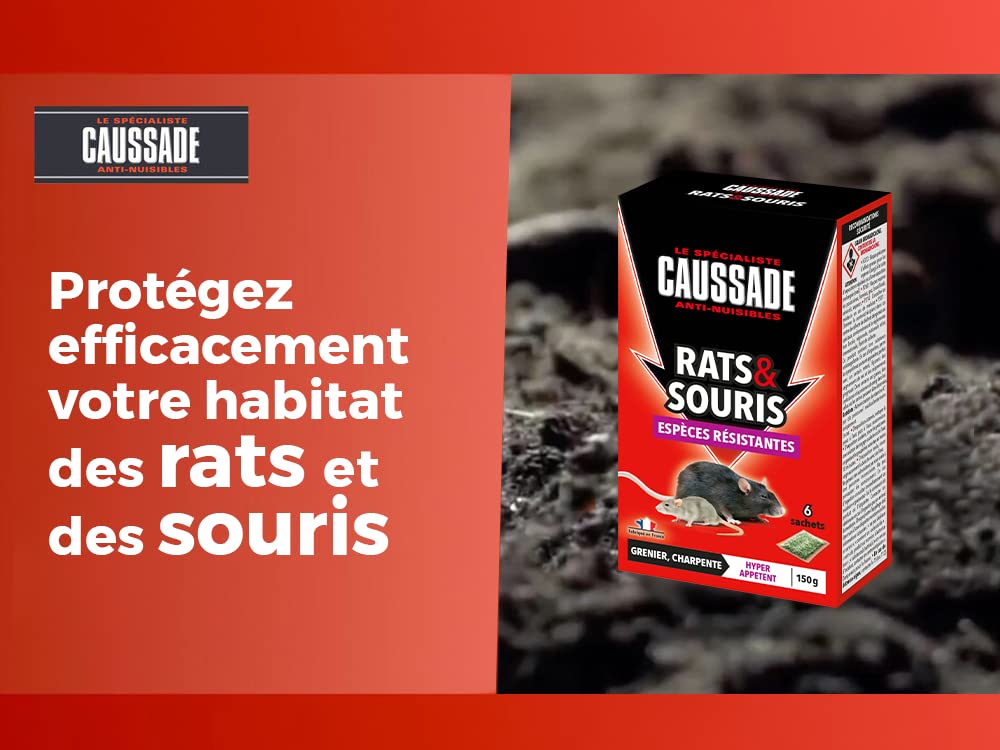 Anti Rats 150 G - Efficacité Radicale - Spécial Rats Résistants Anti Rats 150 G - Efficacité Radicale - Spécial Rats Résistants