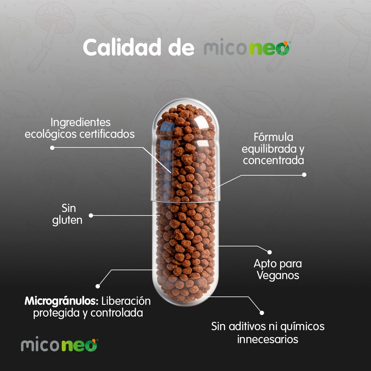 Mico NEO | Chaga Neo | Extracto Seco de Chaga | Hongo Siberiano | Complemento Alimenticio para Favorecer el Sistema Inmunológico | 60 Cápsulas