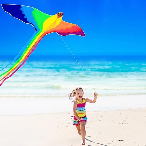 Miniatura 6 de HENGDA KITE - Fuerte fénix para niños y adultos con cola larga y colorida Enormes cometas coloridas para principiantes con pájaros arcoíris de 74