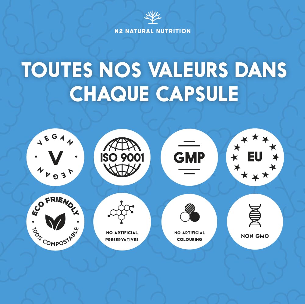 Ginkgo Biloba Nootropic. Cafeine Vitamine B6 Bacopa Thé Verde. Améliore Concentration Memoire Anxiete et Humeur. Anti fatigue. Aide au bien etre general. Végan 60 Capsules N2 Natural Nutrition