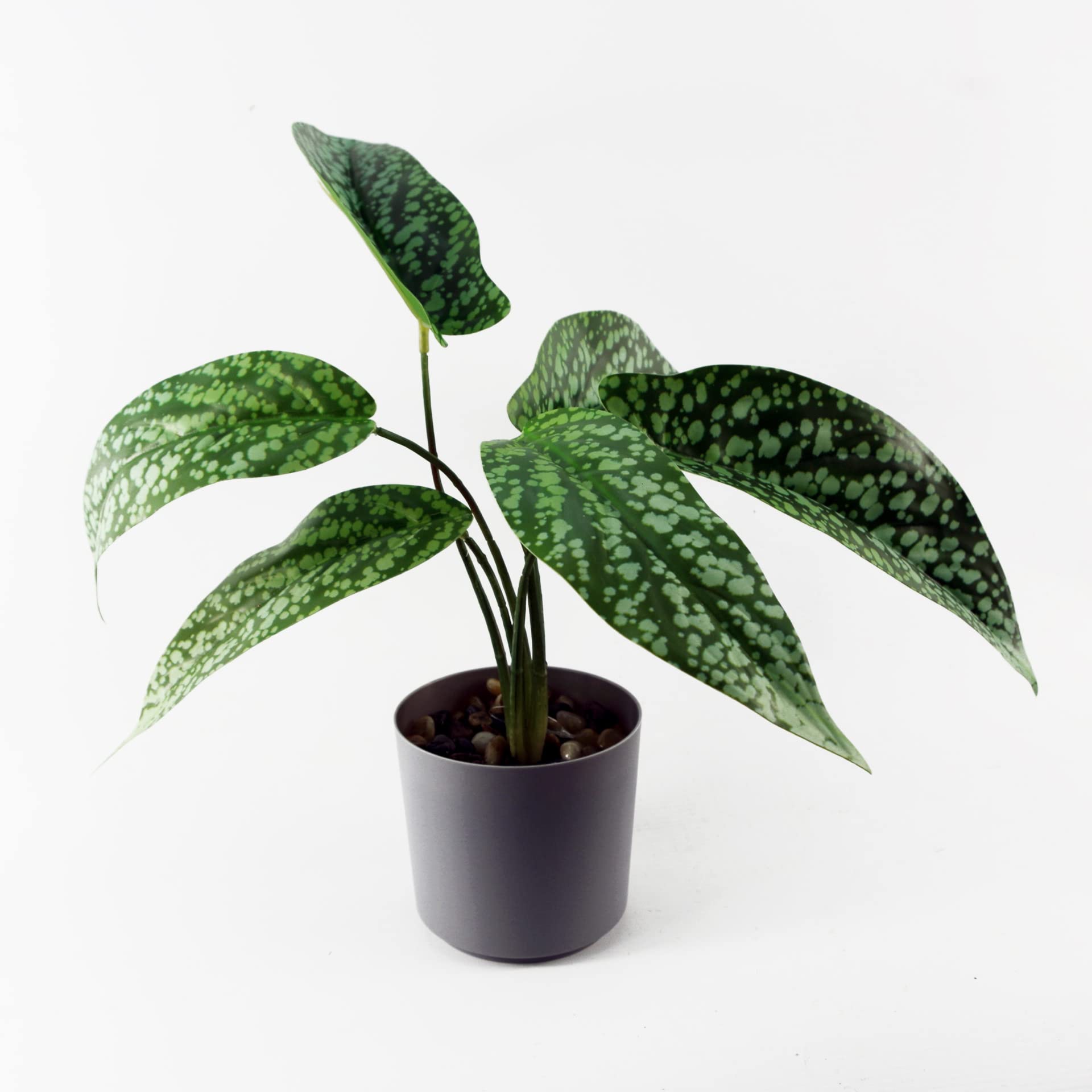 Leaf Design UK Realistic Artificial Foliage Plant with Pot, 35cm, Spotted Plant Planter, 35 cm - Image 5