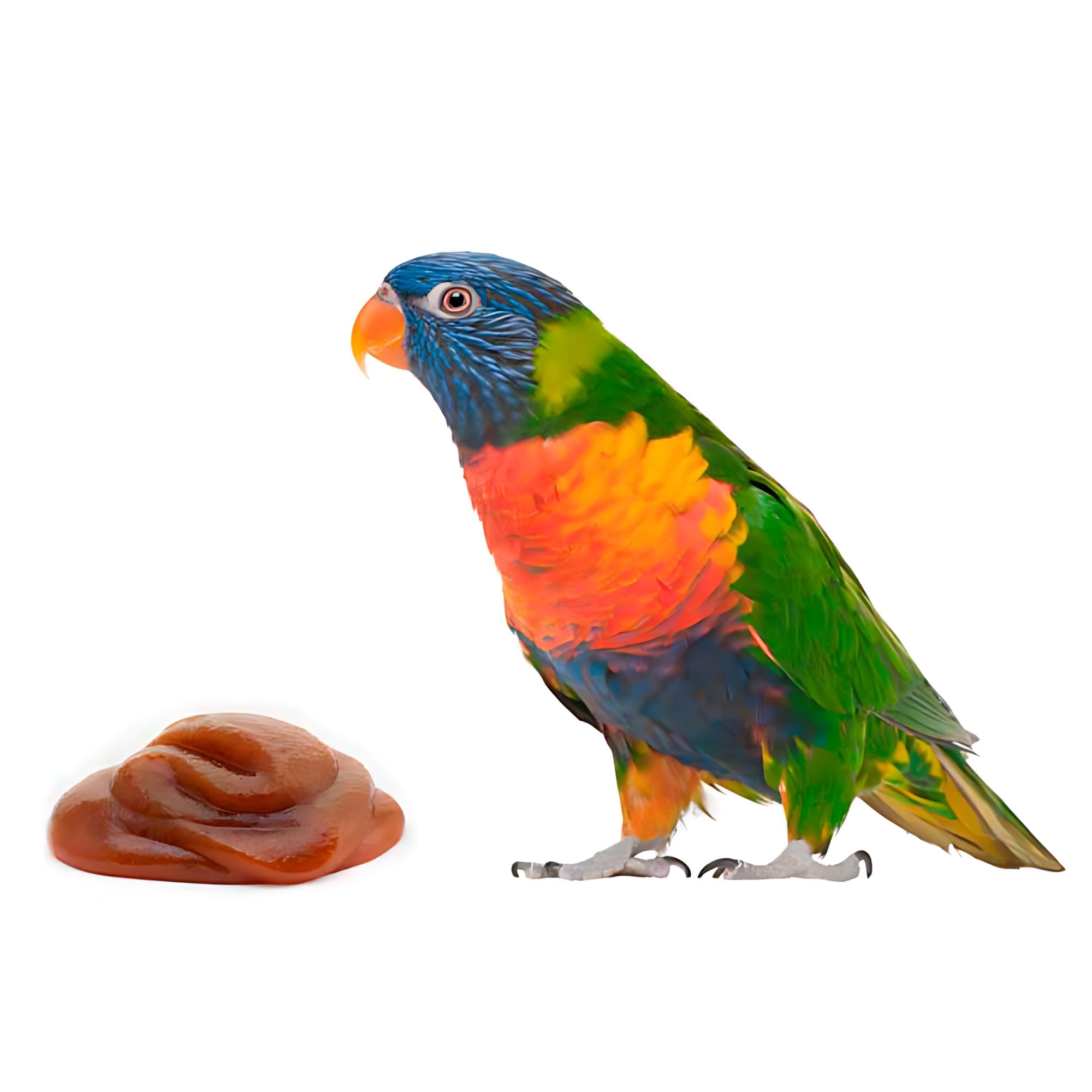 Lorifeed - Nectar Loris Complet 1,4kg - Alimentation pour Oiseaux Nectarivores - Formule Naturelle - Qualité et Santé Digestive Premium - Davianfeed
