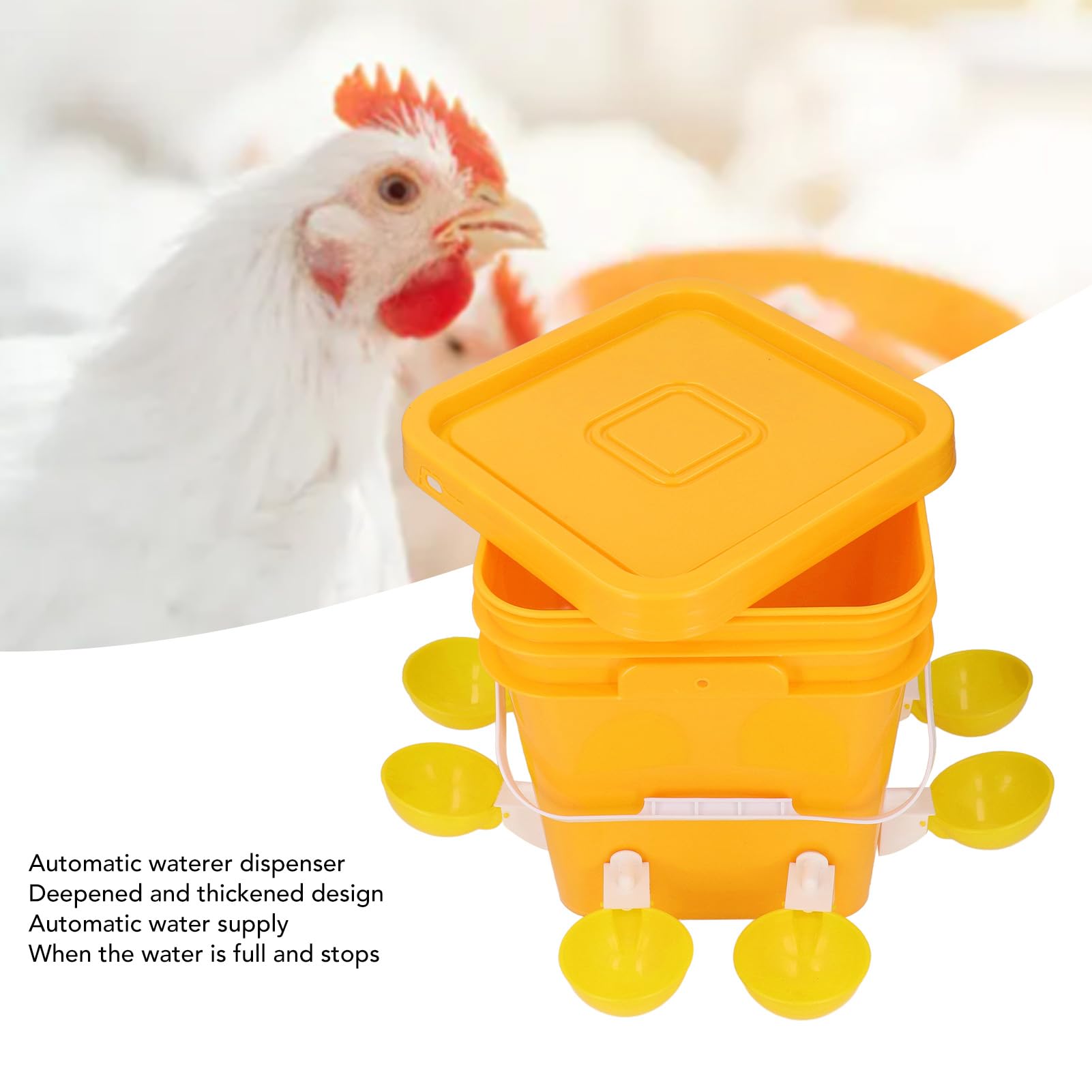 Abreuvoir Automatique pour Poulet, Ensemble d'Abreuvoir Automatique pour Poulet, Faible Déversement, Distributeur d' pour Volaille, Oie, Dinde, Volaille et Fournitures 'arrosage (Tasses