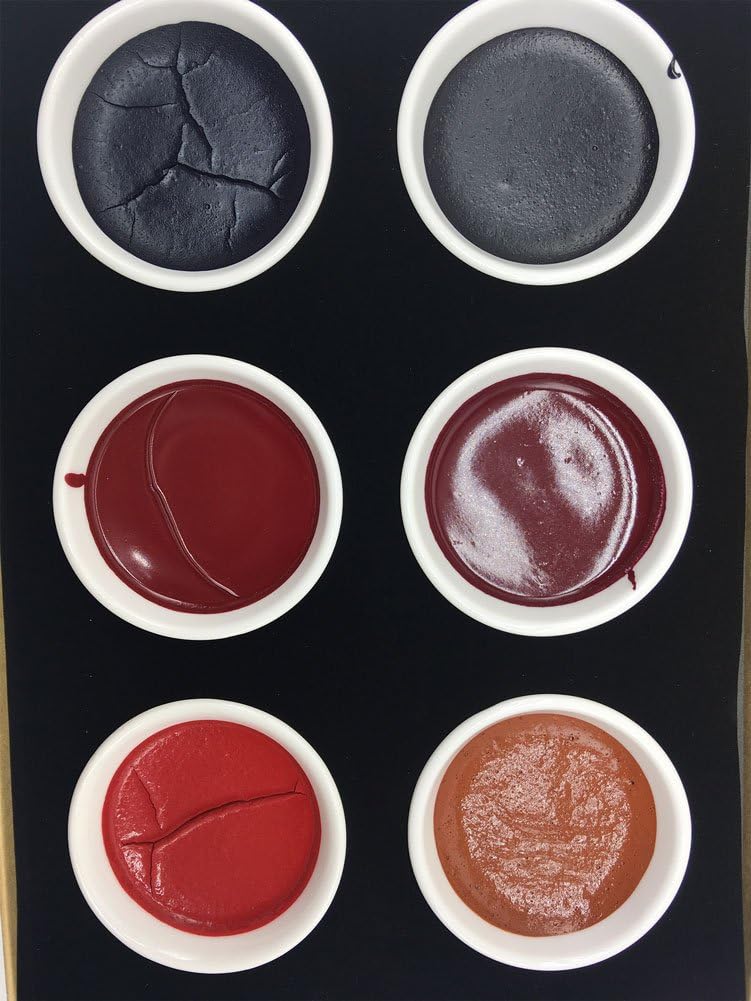 Easyou JiangsixuTang Traditional Professional Chinese Japaness Mineral Painting Color Block Pigment 12pcs/ Set