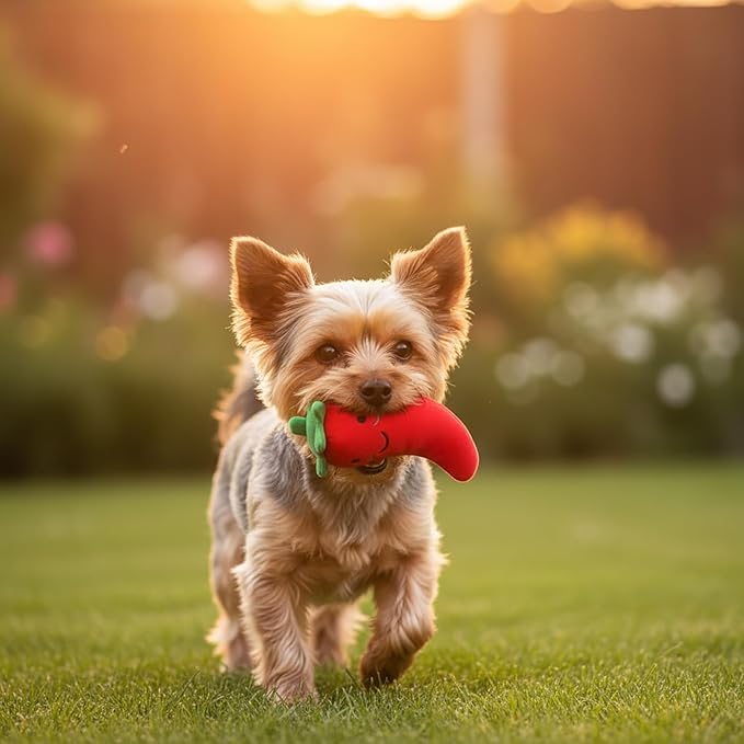 Juguete para perro de tela con sonido forma de ají rojo miniatura 4