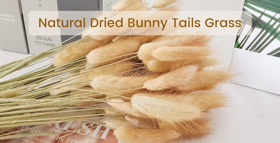 Dried Pampas Grass Set - Boho Home Decor -2